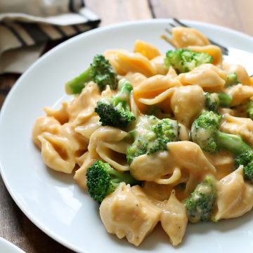 CHICKEN AND BROCCOLI SHELLS AND CHEESE